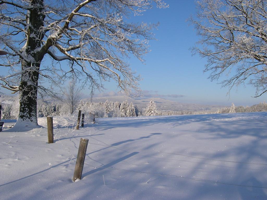 Luxury Apartment In Sumava Mountains Kristanov 외부 사진